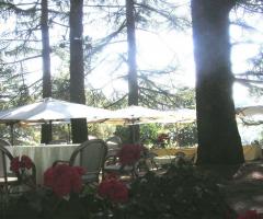 Aperitivo di benvenuto sulla rotonda dei cedri - Tenuta Le Chiuse di Reopasto