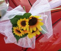 Noleggio maggiolino matrimonio - Maggiolino Settimino