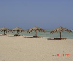 Foto prese dai nostri viaggi