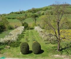Giardino della location di nozze