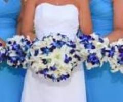 Harem di Albanascente Perretti