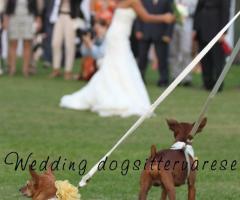 Lancio del bouquet - Wedding dogsittervarese