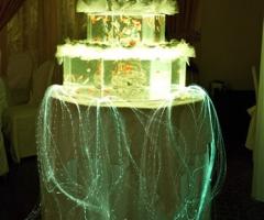Wedding Crystal Torta Acquario Magic Reef