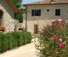 particolare della tenuta