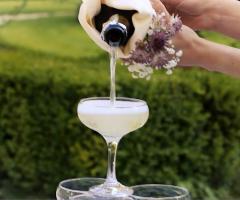 Ok Video - Il brindisi