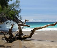 Diamond Vacation Consulente Borsaviaggi - Sea