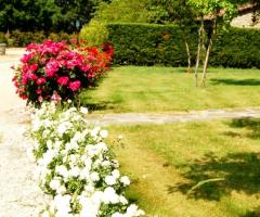 Borgo Nuovo San Martino - Il giardino