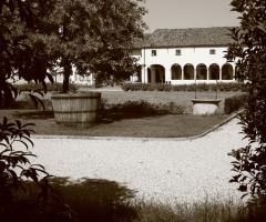 Scorcio dal giardino della location di nozze