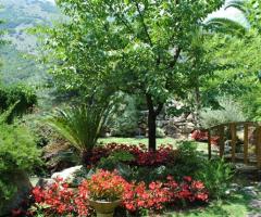 Angolo del giardino con laghetto