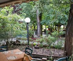 La natura che circonda il Multiristorante Bussola