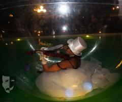 Sfera violino - Dionysus Entertainment