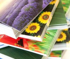 Sollicitudo - Rilegature