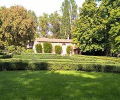 The Strainer Cocktail Catering & More - Il catering nei parchi all'aperto