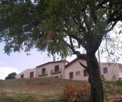 Esterno con parco dell'agriturismo per ricevimento di matrimonio Chiusa del Falconiere