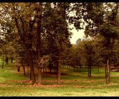 La Castella - Il parco che circonda lalocation