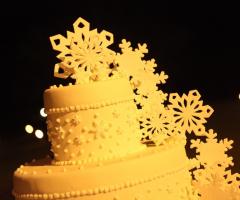 Winter Wedding Cake