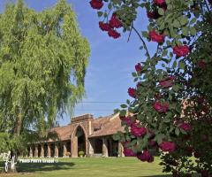 particolare giardino