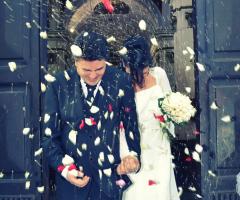 Petali bicolore e riso