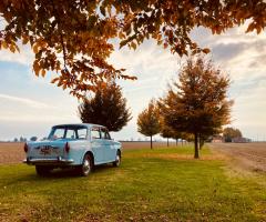 Fiat 1100 d'epoca - Autunno