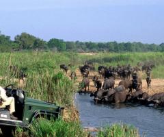 Visita al Kruger Nation Park (Sud Africa) durante la luna di miele