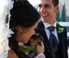 Gli sposi con il loro fido amico