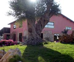 Donna Maria: ristorante per matrimoni a Portopalo di Capo Passero (Siracusa)