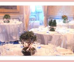 Centrotavola bonsia - Alberoantico Bonsai Roma