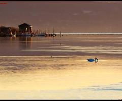 Eurojulia - Tramonto nella Foce dell'Isonzo