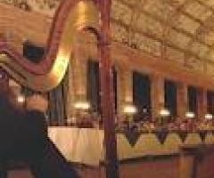 Musica d'arpa durante un matrimonoi