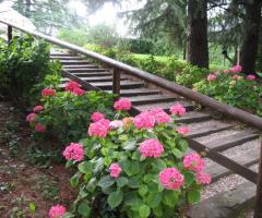 scorcio scala che porta ai gazebo - Villa Crocioni