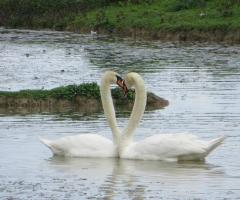 Eurojulia - Location immersa nella natura