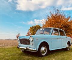 Fiat 1100 d'epoca - Fronte Autunno