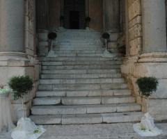 Alberelli per la scalinata della chiesa