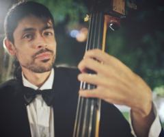 Contrabbasso Dixie & Co.