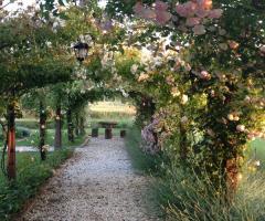 Voltabotte di rose antiche - Abbazia Sette Frati
