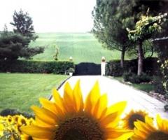 Organizzazione del matrimonio a Frascati (Roma)