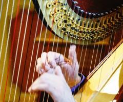 Dettaglio dell'arpa di Andrea Bonaldo