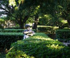 particolare del giardino