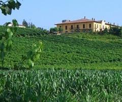 La nostra Tenuta ed i vigneti