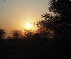 Costanza Demaldè CartOrange - Tramonti Africani