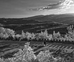 Gli sposi immersi in un panorama mozzafiato