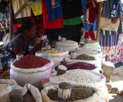 Luna di miele nel Parco Ankarina in Madagascar