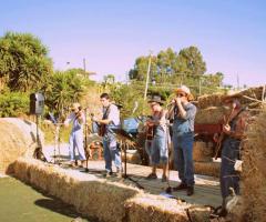 musica folk e country