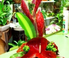 Centrotavola di antarium per il ricevimento di matrimonio