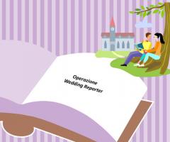 Segni Grafici - Romanzi sulla storia della coppia di sposi