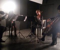 Bouquet Quartet - Quartetto d'archi per matrimoni