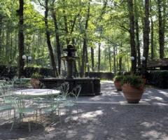 Bosco di castagni della location di matrimonio