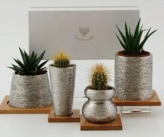 Vasetti per i fiori come bomboniera