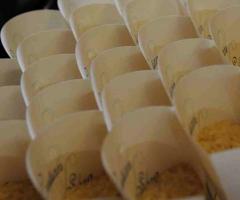 Coni porta riso - Pastò Bomboniere