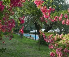 Giardino della location di nozze